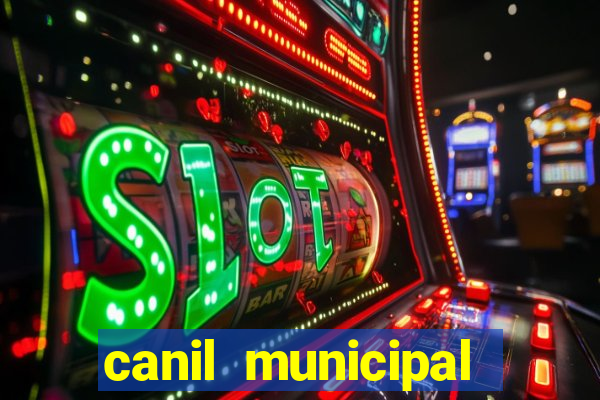 canil municipal porto alegre